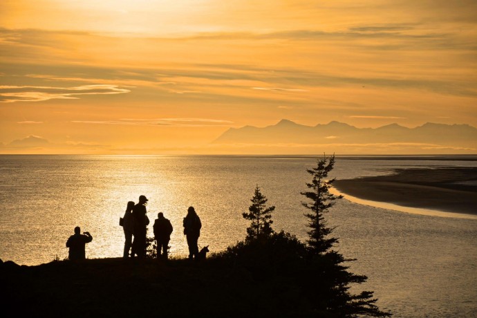 Best whale watching turnagain arm whale watching nicole hall pdiuuf
